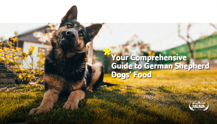 دليلك الشامل في أكل الكلاب الجيرمن